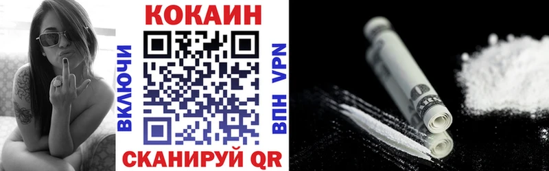 Cocaine FishScale  Купить закладки  Дивногорск 