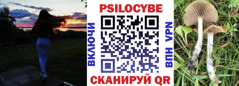 Псилоцибиновые грибы GOLDEN TEACHER Дивногорск