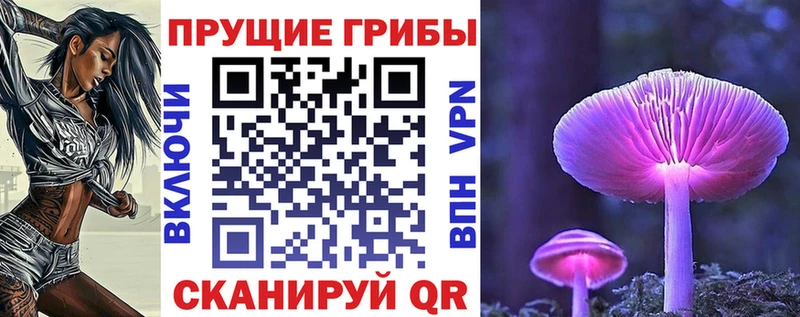 Купить где  Дивногорск  Галлюциногенные грибы мухоморы 