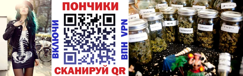 Бошки Шишки THC 21%  Купить закладки  Дивногорск 
